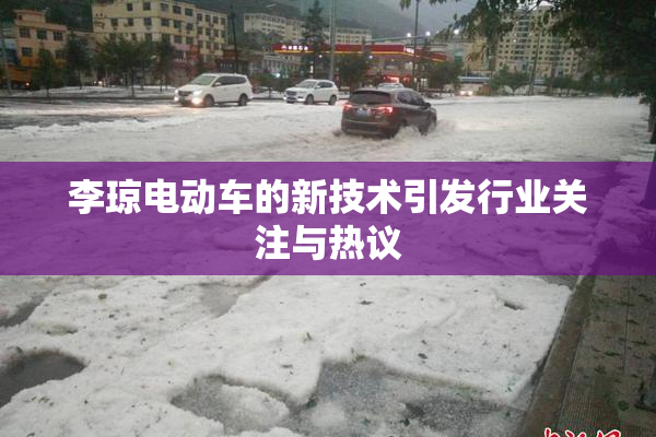 李琼电动车的新技术引发行业关注与热议