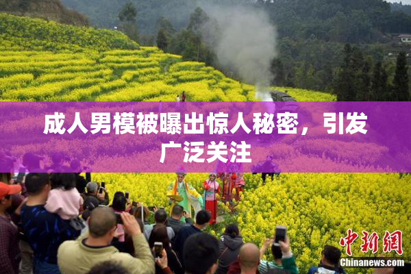 成人男模被曝出惊人秘密，引发广泛关注