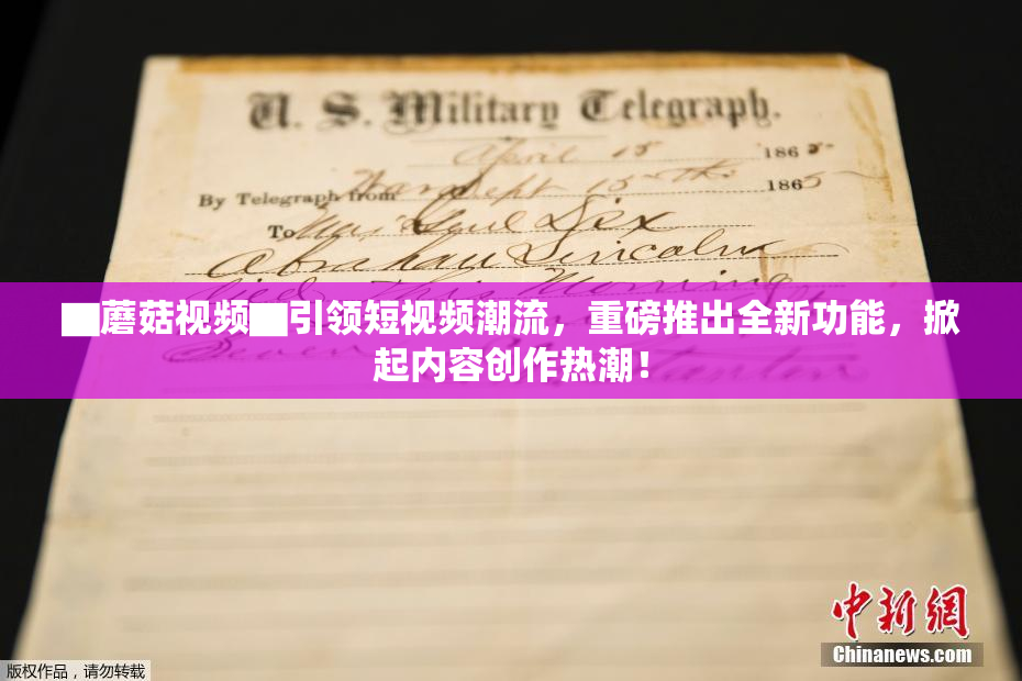 ▇蘑菇视频▇引领短视频潮流，重磅推出全新功能，掀起内容创作热潮！
