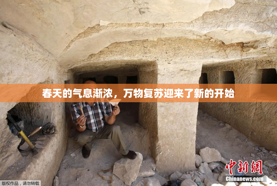 春天的气息渐浓，万物复苏迎来了新的开始