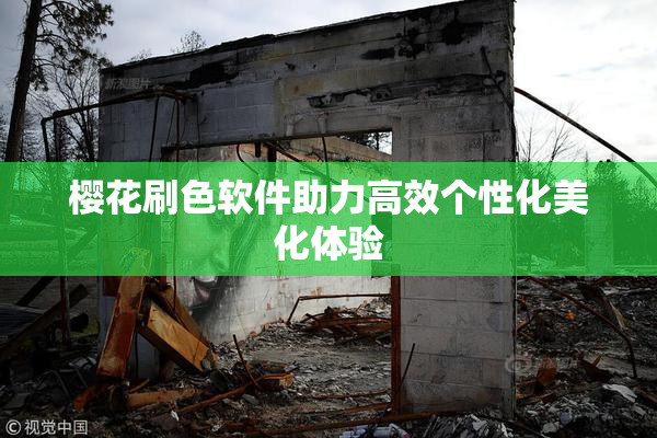 樱花刷色软件助力高效个性化美化体验