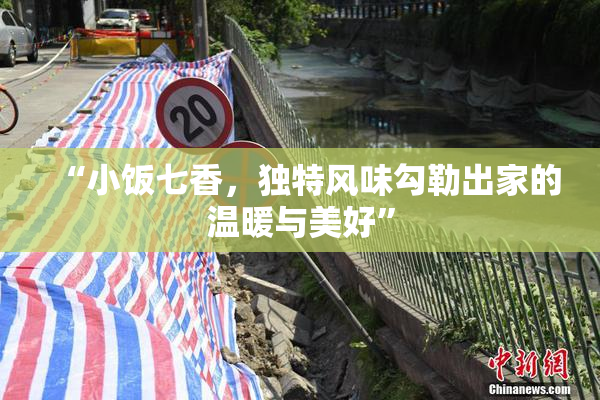 “小饭七香，独特风味勾勒出家的温暖与美好”