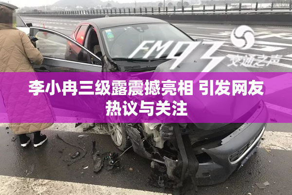 李小冉三级露震撼亮相 引发网友热议与关注