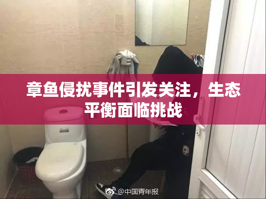 章鱼侵扰事件引发关注，生态平衡面临挑战