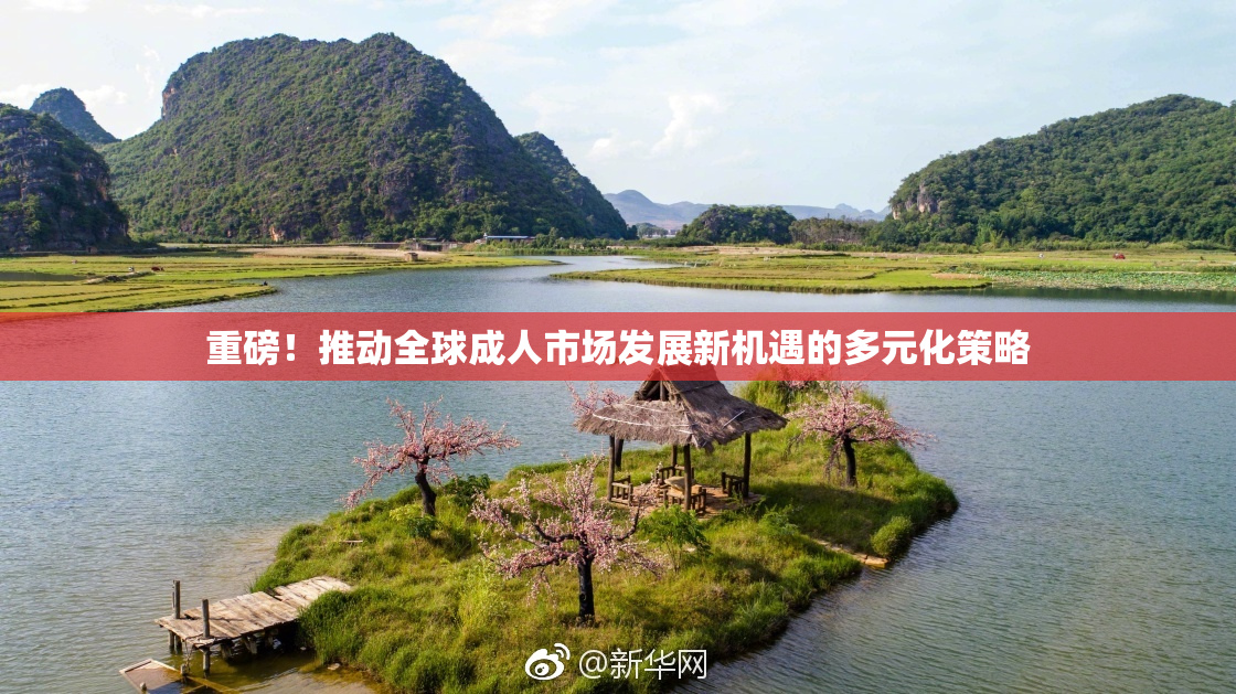 重磅！推动全球成人市场发展新机遇的多元化策略
