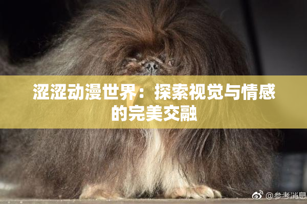 涩涩动漫世界：探索视觉与情感的完美交融