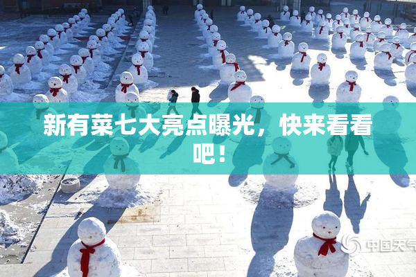 新有菜七大亮点曝光，快来看看吧！