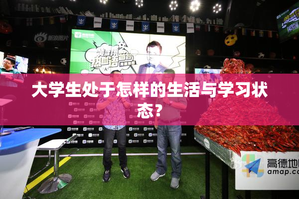 大学生处于怎样的生活与学习状态？