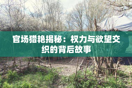 官场猎艳揭秘：权力与欲望交织的背后故事