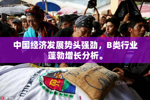 中国经济发展势头强劲，B类行业蓬勃增长分析。