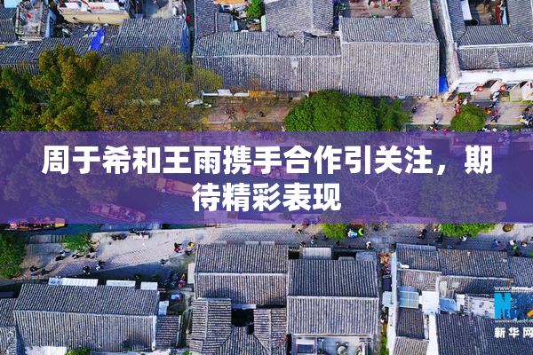 周于希和王雨携手合作引关注，期待精彩表现