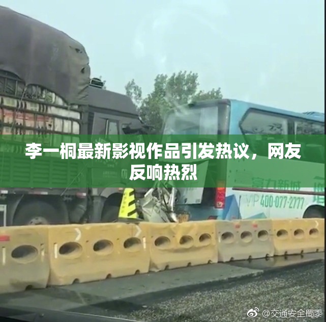 李一桐最新影视作品引发热议，网友反响热烈