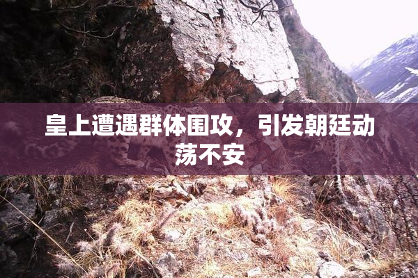 皇上遭遇群体围攻，引发朝廷动荡不安