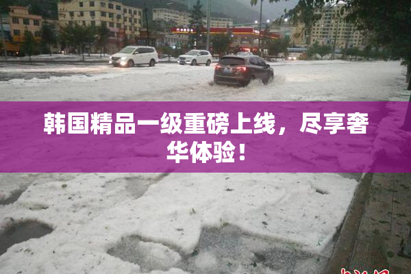 韩国精品一级重磅上线，尽享奢华体验！