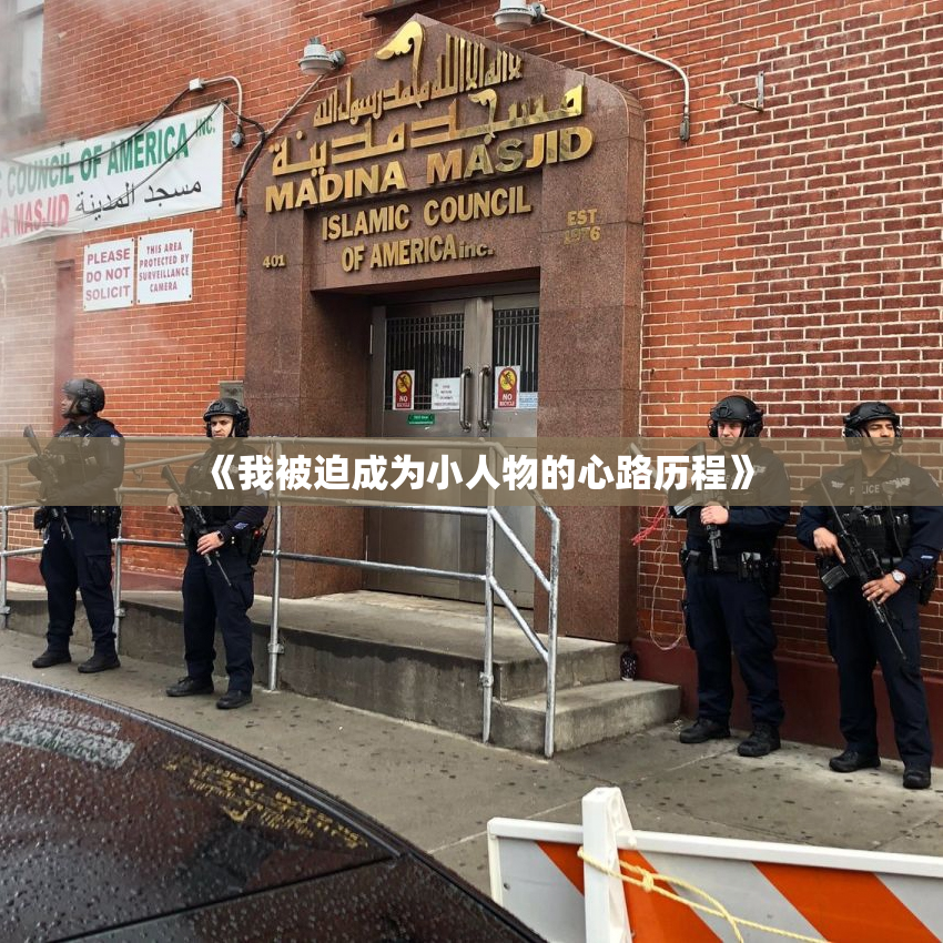 《我被迫成为小人物的心路历程》