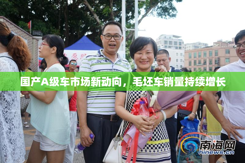 国产A级车市场新动向，毛坯车销量持续增长