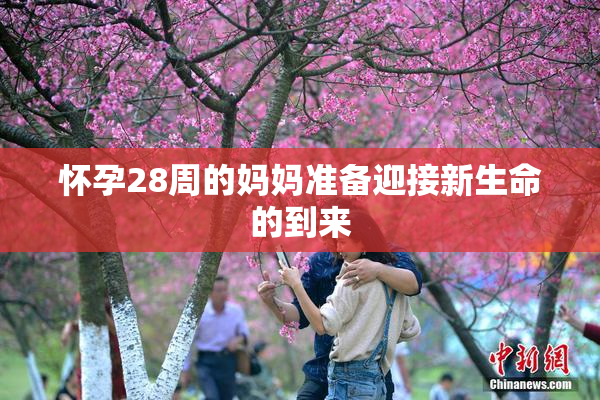 怀孕28周的妈妈准备迎接新生命的到来