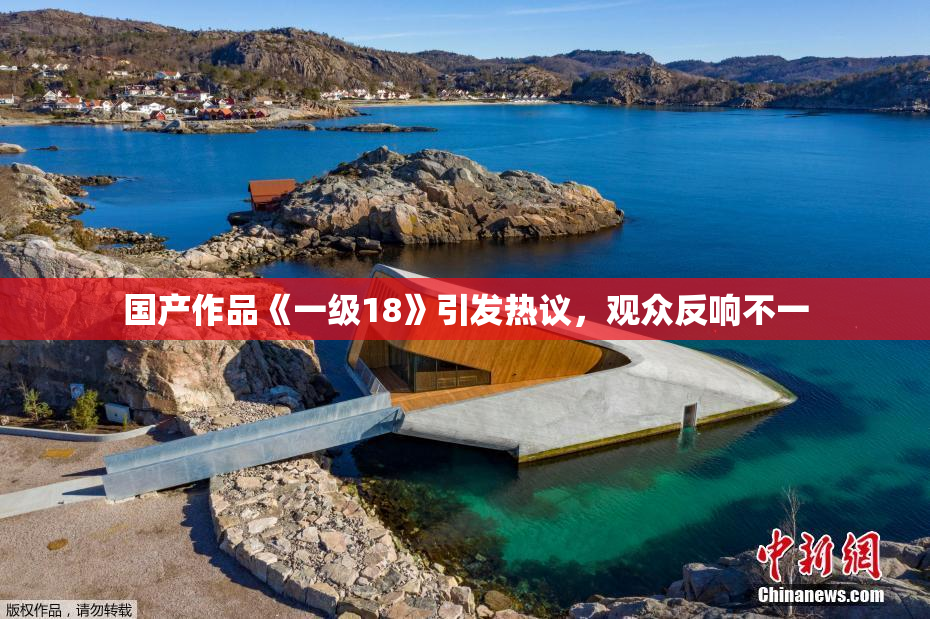 国产作品《一级18》引发热议，观众反响不一