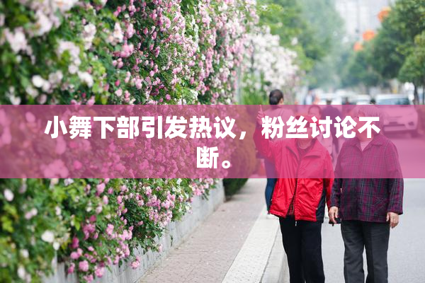 小舞下部引发热议，粉丝讨论不断。