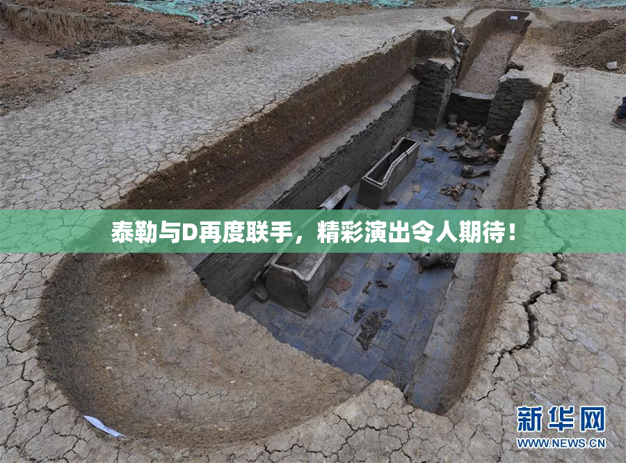 泰勒与D再度联手，精彩演出令人期待！