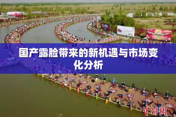 国产露脸带来的新机遇与市场变化分析