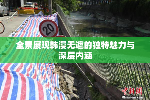 全景展现韩漫无遮的独特魅力与深层内涵