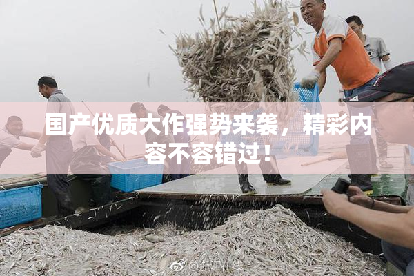 国产优质大作强势来袭，精彩内容不容错过！