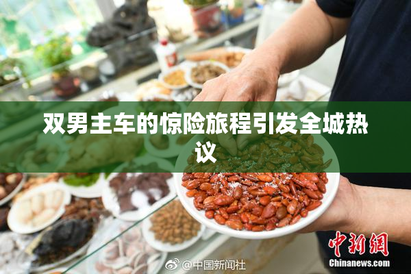 双男主车的惊险旅程引发全城热议