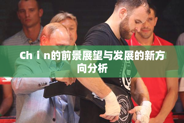 Chⅰn的前景展望与发展的新方向分析