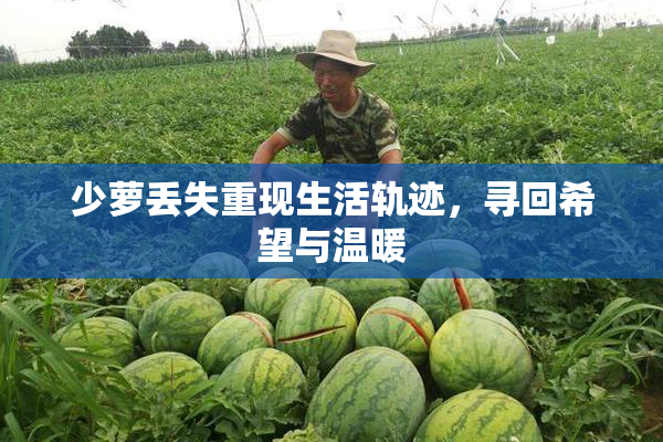少萝丢失重现生活轨迹，寻回希望与温暖