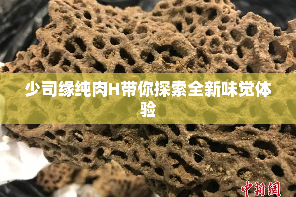少司缘纯肉H带你探索全新味觉体验