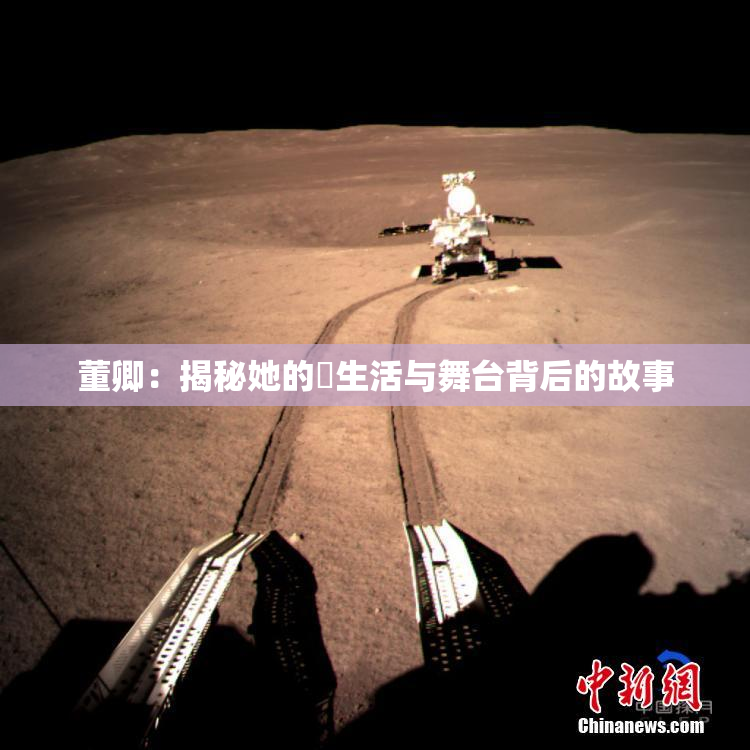 董卿：揭秘她的婬生活与舞台背后的故事