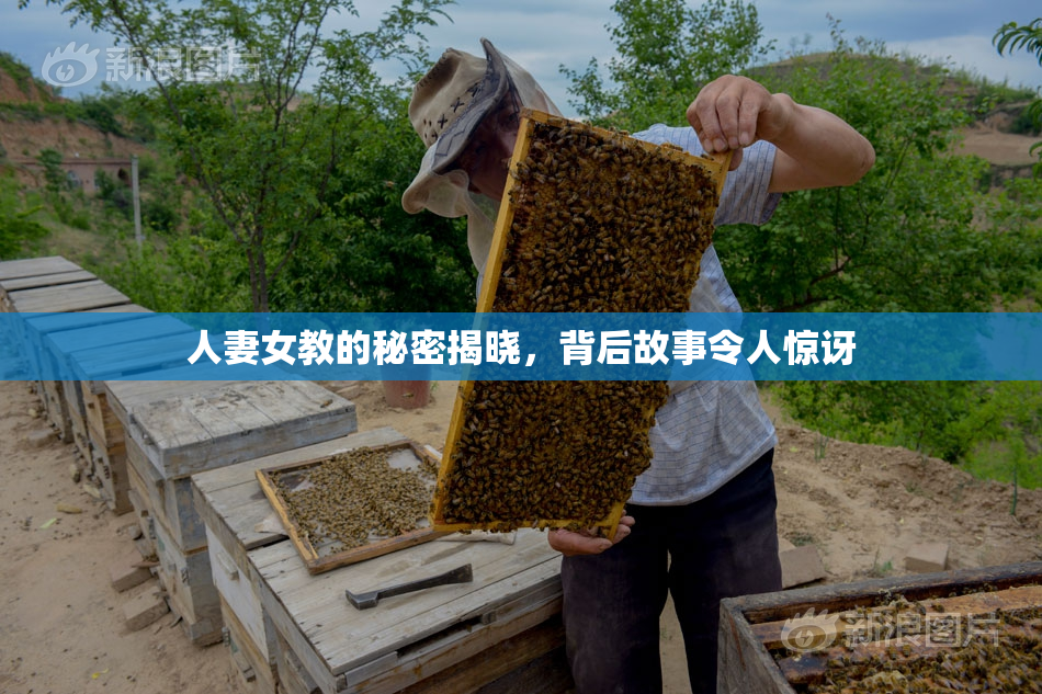 人妻女教的秘密揭晓，背后故事令人惊讶