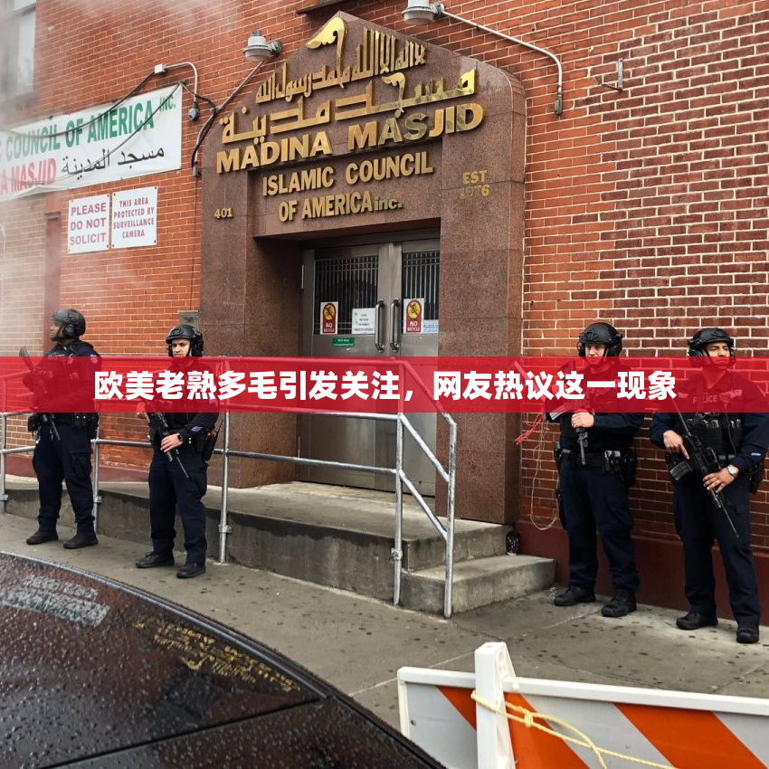 欧美老熟多毛引发关注，网友热议这一现象