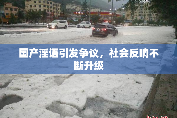 国产淫语引发争议，社会反响不断升级