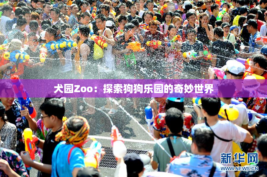 犬园Zoo：探索狗狗乐园的奇妙世界