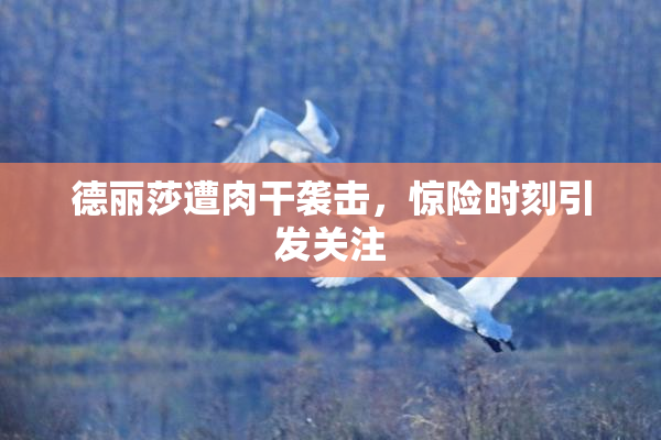 德丽莎遭肉干袭击，惊险时刻引发关注