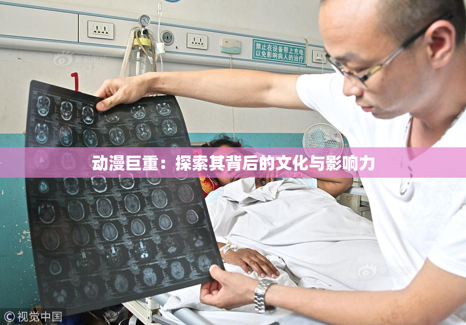 动漫巨重：探索其背后的文化与影响力
