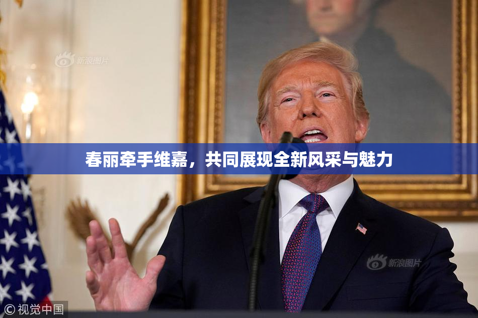 春丽牵手维嘉，共同展现全新风采与魅力