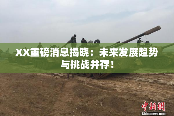XX重磅消息揭晓：未来发展趋势与挑战并存！