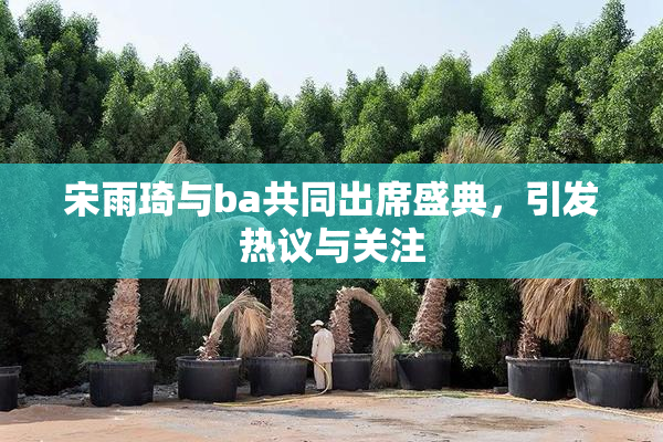 宋雨琦与ba共同出席盛典，引发热议与关注