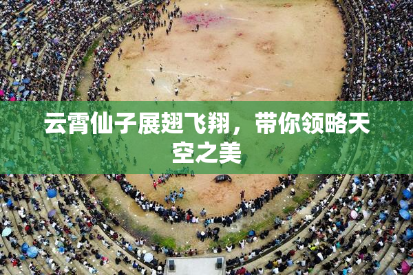 云霄仙子展翅飞翔，带你领略天空之美