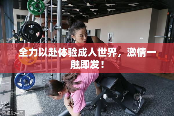 全力以赴体验成人世界，激情一触即发！