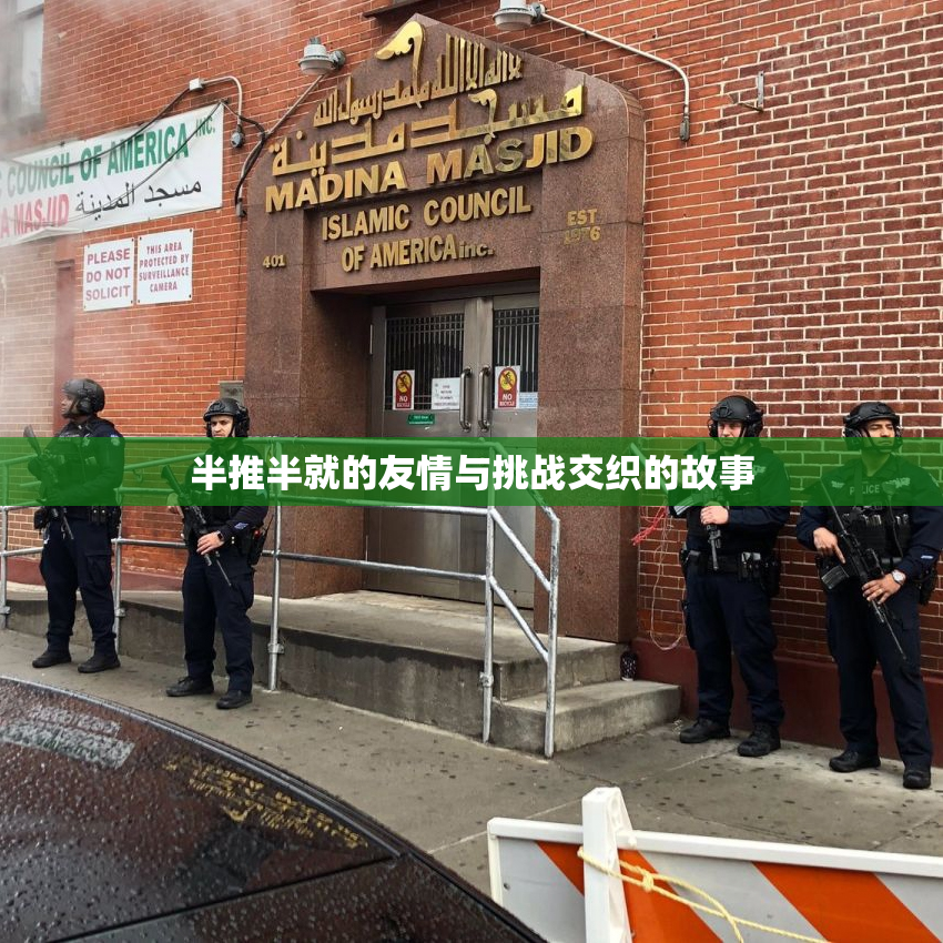 半推半就的友情与挑战交织的故事