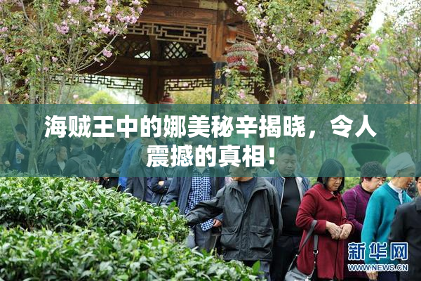 海贼王中的娜美秘辛揭晓，令人震撼的真相！