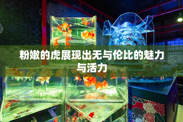 粉嫩的虎展现出无与伦比的魅力与活力