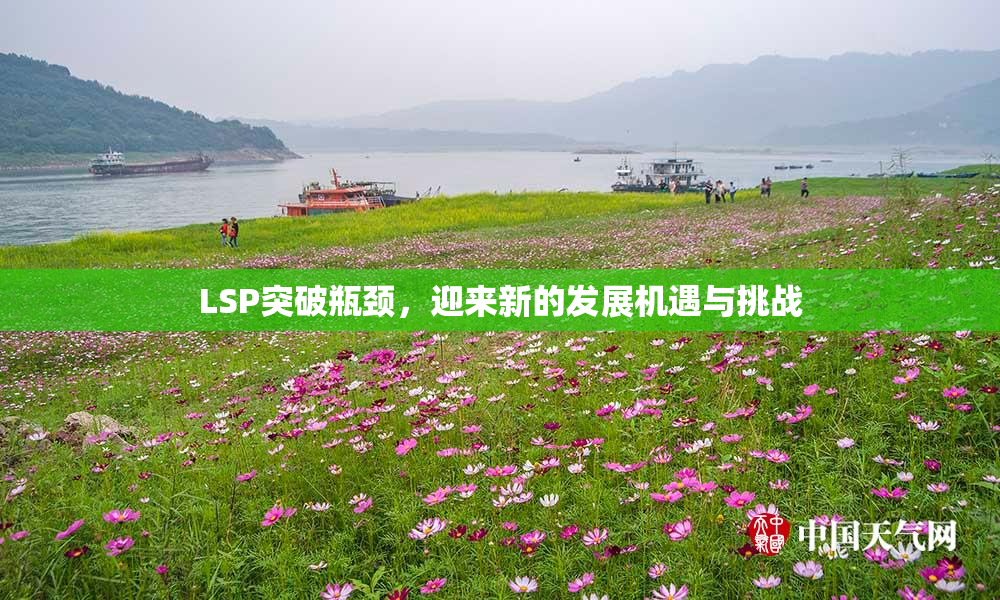 LSP突破瓶颈，迎来新的发展机遇与挑战