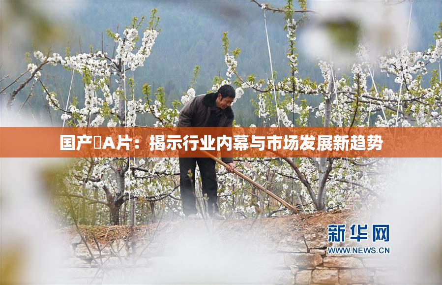 国产婬A片：揭示行业内幕与市场发展新趋势