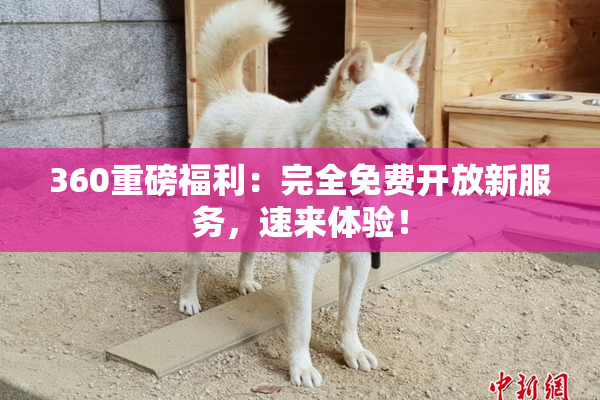 360重磅福利：完全免费开放新服务，速来体验！