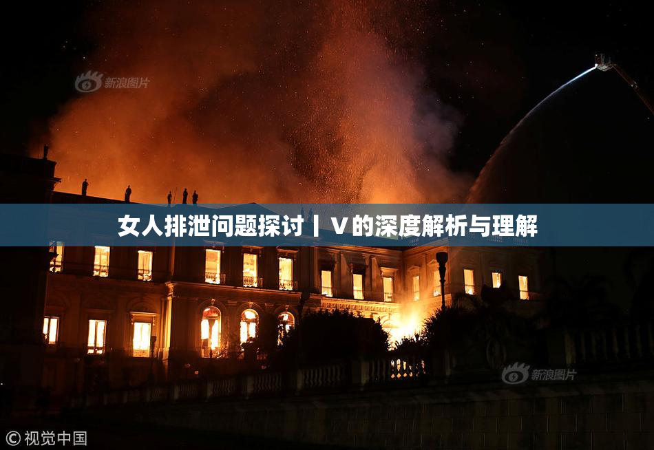 女人排泄问题探讨丨Ⅴ的深度解析与理解
